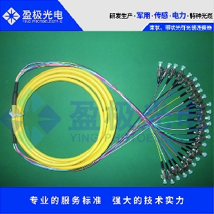 束狀、帶狀光纖光纜連接器組件